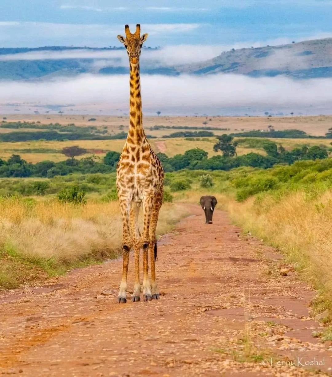 Nature Lovers Mara Camp Hotel Sekenani Exterior photo